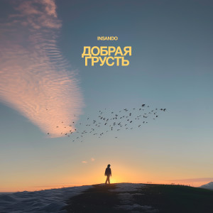 Listen to Добрая грусть song with lyrics from Insando