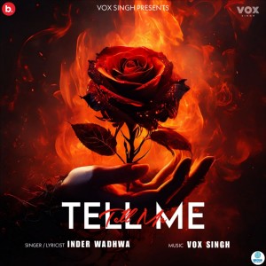 Listen to Tell Me song with lyrics from KaBiiR