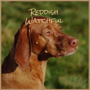 Listen to Reddish Watchful song with lyrics from Aury Zila