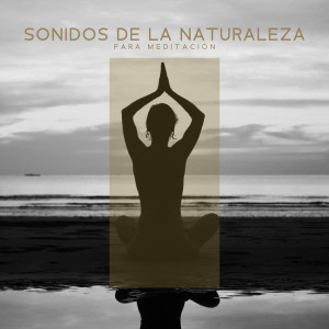 Album Sonidos de la Naturaleza para Meditación (Encuentra tu Paz Interior) from Academia de Música con Sonidos de la Naturaleza