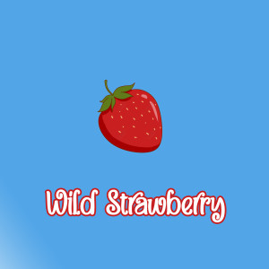 Dj Urbek的專輯Wild Strawberry