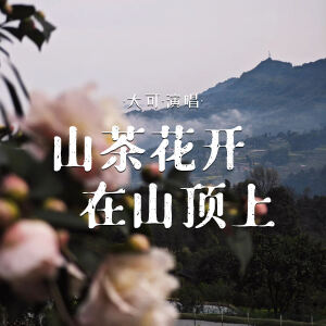 Album 山茶花开在山顶上 from 大可