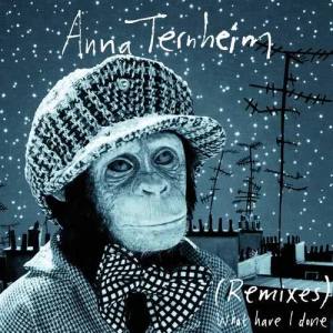 收聽Anna Ternheim的What Have I Done (Familjen Remix)歌詞歌曲