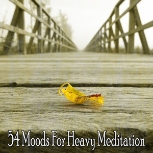 收聽Guided Meditation的Peaceful Spa歌詞歌曲