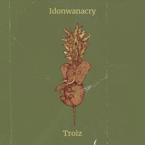 Album Idonwanacry (Explicit) from Troiz