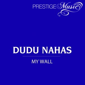 Dudu Nahas的专辑My Wall
