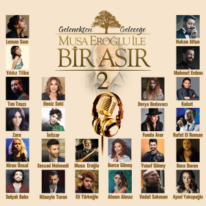 Various Artists的專輯Musa Eroğlu İle Bir Asır 2