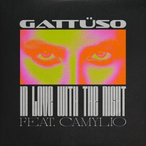 GATTÜSO的專輯In Love With The Night