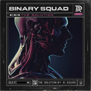 Listen to The Solution song with lyrics from Binary Squad