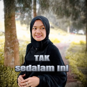 It's Me的專輯Tak Sedalam Ini (Remix)