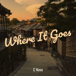 收听C Nova的Where It Goes歌词歌曲