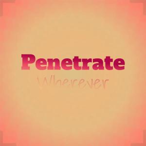 Various Artists的专辑Penetrate Wherever