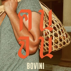 อัลบัม คนจน ศิลปิน Bovini