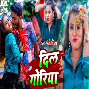 Listen to Dil Goriya song with lyrics from Santosh Deewana