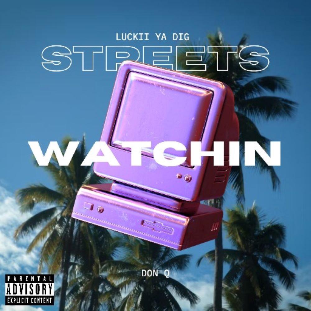 Streets Watchin (feat. Don Q) (Explicit)
