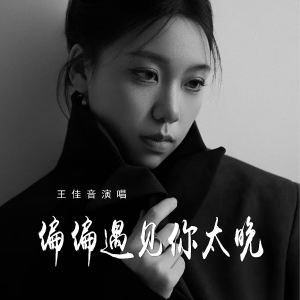 Album 偏偏遇见你太晚 from 王佳音