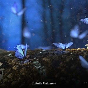 Album Infinite Calmness from Relaxing Music Therapy