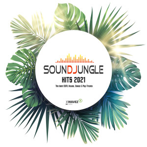 Album Soundjungle Hits 2021 from 