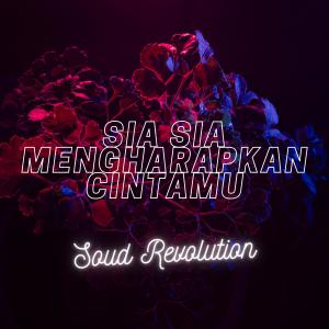 Album Sia Sia Mengharapkan Cintamu (Instrument) from Soud Revolution