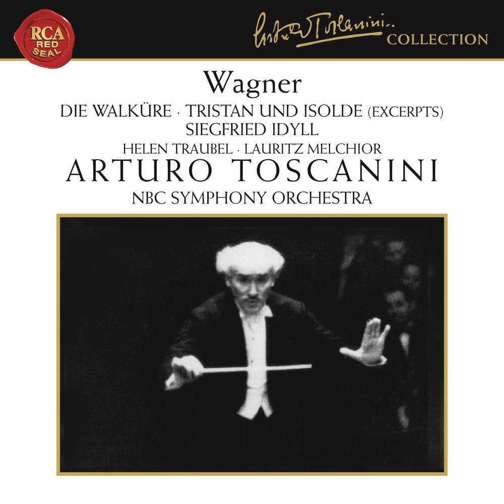 Die Walküre, WWV 86B: Act I: Scene 3: Siegmund heiss' ich
