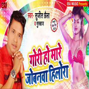 Album Gori Ho Mare Jobanwa Hilora from 
