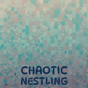 收聽Jace Huan的Chaotic Nestling歌詞歌曲