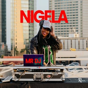 Listen to MR. DJ song with lyrics from Nigela