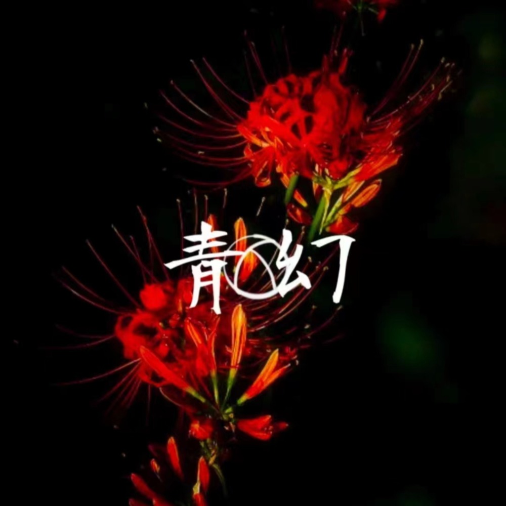 青幻studio