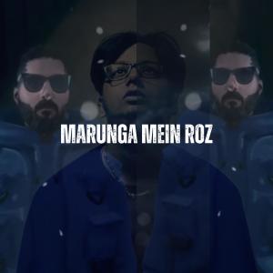 Marunga Mein Roz (feat. Dkingx99) [Remix] dari Perry Venus