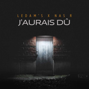 Album J'aurais dû (Explicit) from Le Dam's