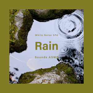 Listen to 白噪音 雨 song with lyrics from Noble Music Project