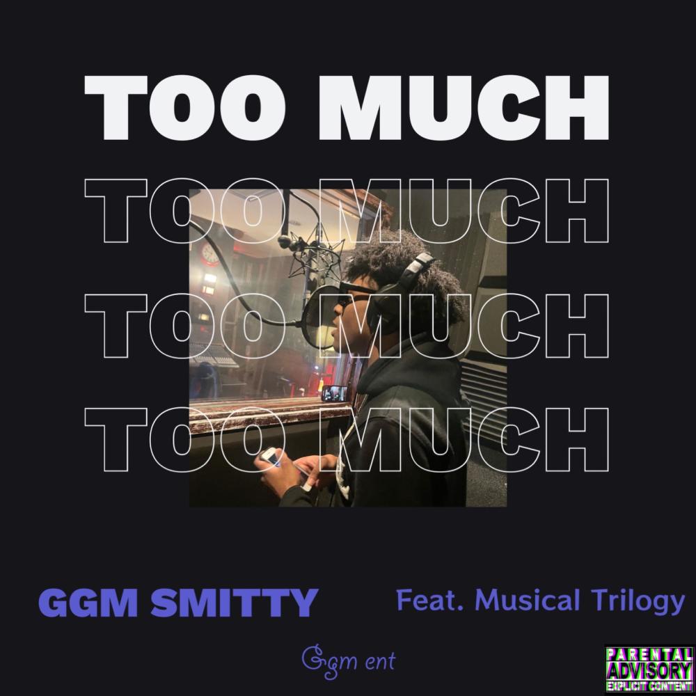 Too Much (feat. Musicaltrilogy) (Explicit)