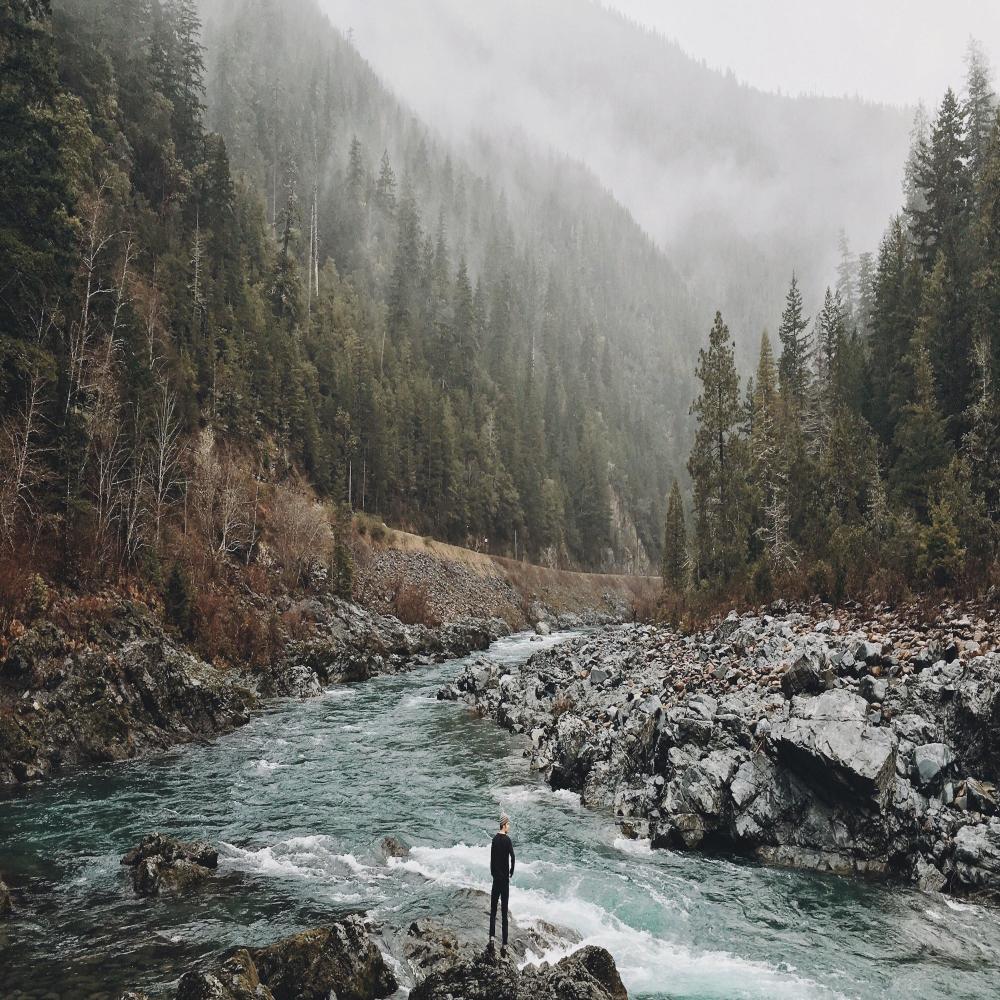 A Walk In The Wild