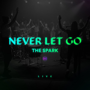 Album Never Let Go (Live) oleh The Spark