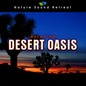 Nature Sound Retreat的專輯Relaxing Desert Oasis with Crickets and Wind for Peaceful Sleep