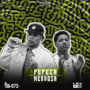 收聽Lex No Beat的Pepeca Nervosa (feat. Mc Nick) (Explicit)歌詞歌曲