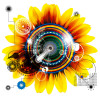 default album img