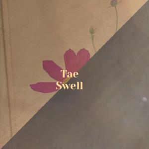 Album Tae Swell from Various