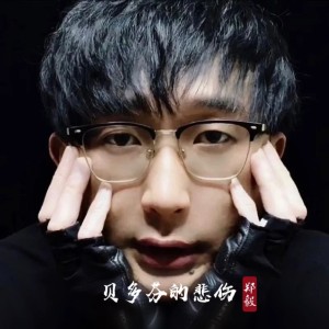 Listen to 新贝多芬的悲伤 (完整版) song with lyrics from 郑毅