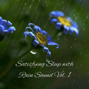 Satisfying Sleep with Rain Sound Vol. 1