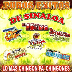 Puros Exitos De Sinaloa dari Various