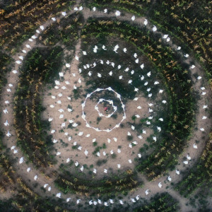 ดาวน์โหลดและฟังเพลง jardin (Thx4Crying Halloween Remix) พร้อมเนื้อเพลงจาก Pomme