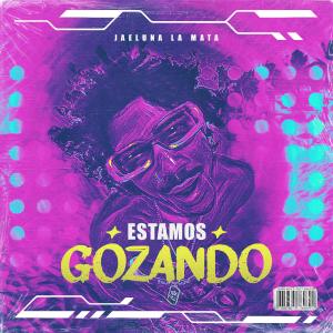 Jaeluna La Mata的專輯ESTAMOS GOZANDO (feat. Jairo The Masta) (Explicit)