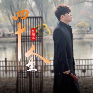 Album 四十叹人生 (雁往北飞) from 张东东