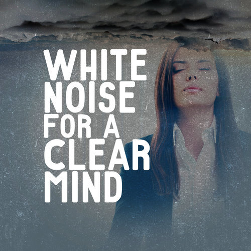 White Noise: Water Birds