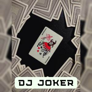 DJ Joker的专辑DJ Haya Haya Fifa