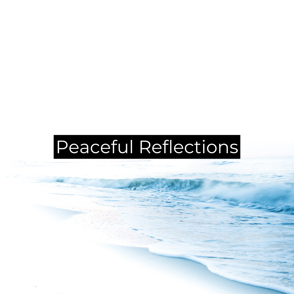 Dreamy Reverberations