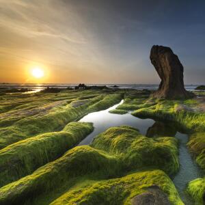 default playlist img