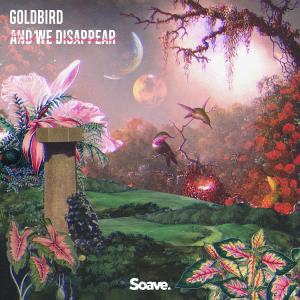 Goldbird的專輯And We Disappear
