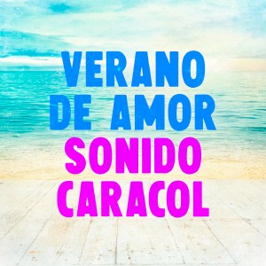 Sonido Caracol的專輯Verano de Amor
